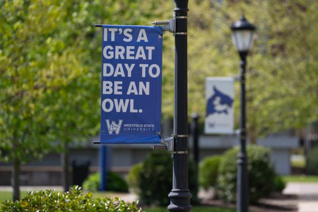 Flag pole with banner that says "It's a Great Day to be an Owl."